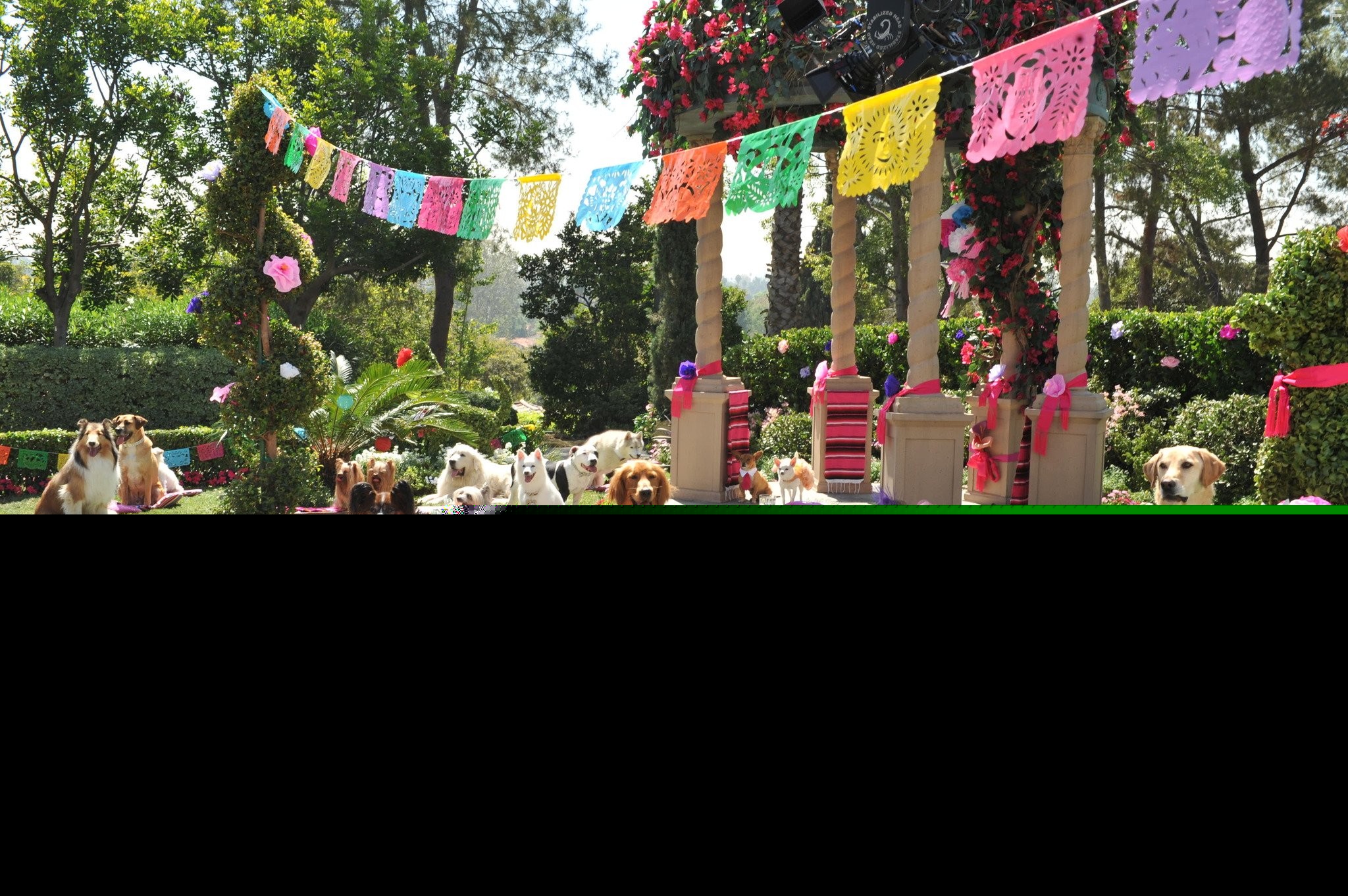 Beverly Hills Chihuahua 3: Viva La Fiesta! (2012)