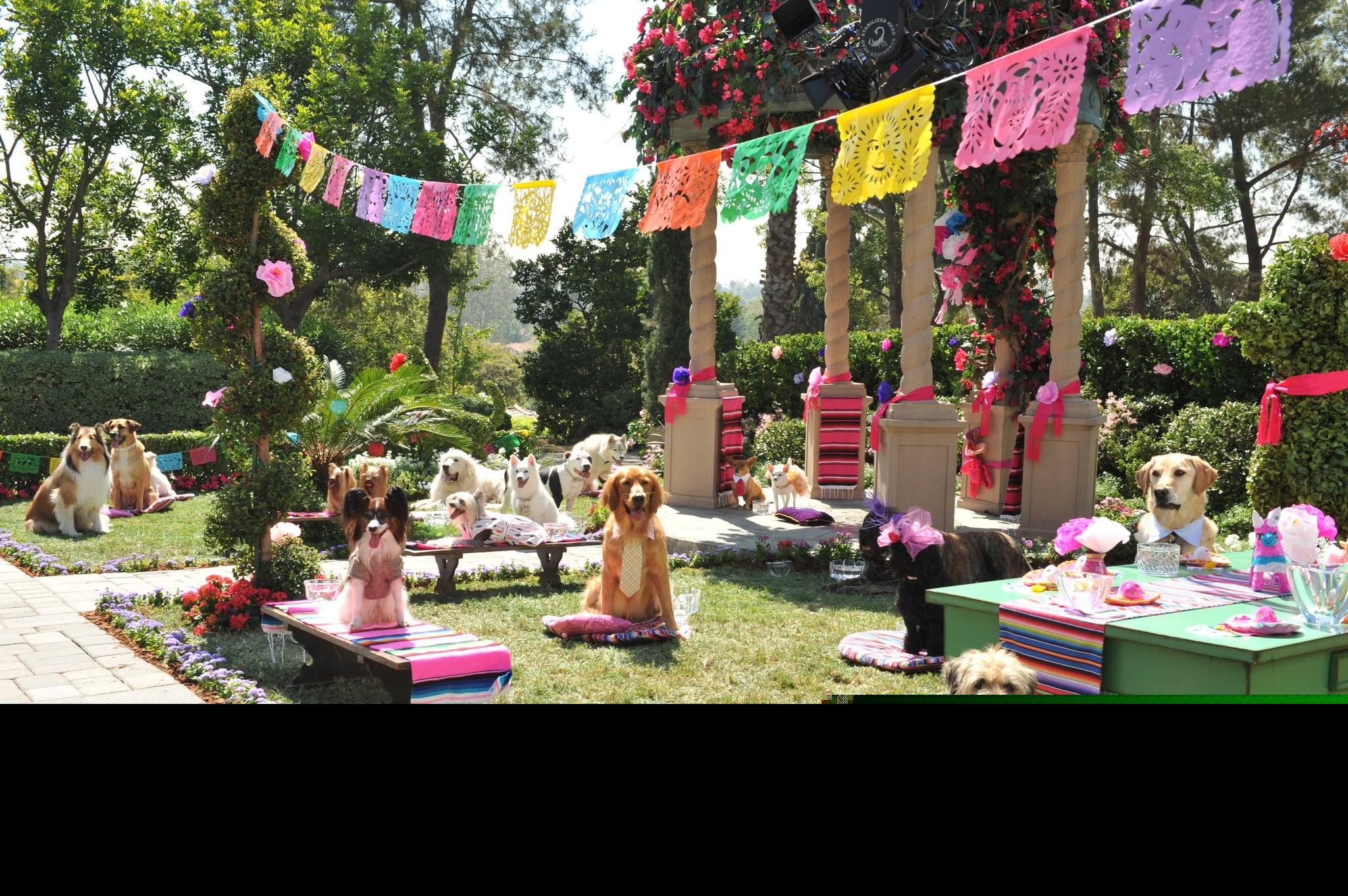Beverly Hills Chihuahua 3: Viva La Fiesta! (2012)