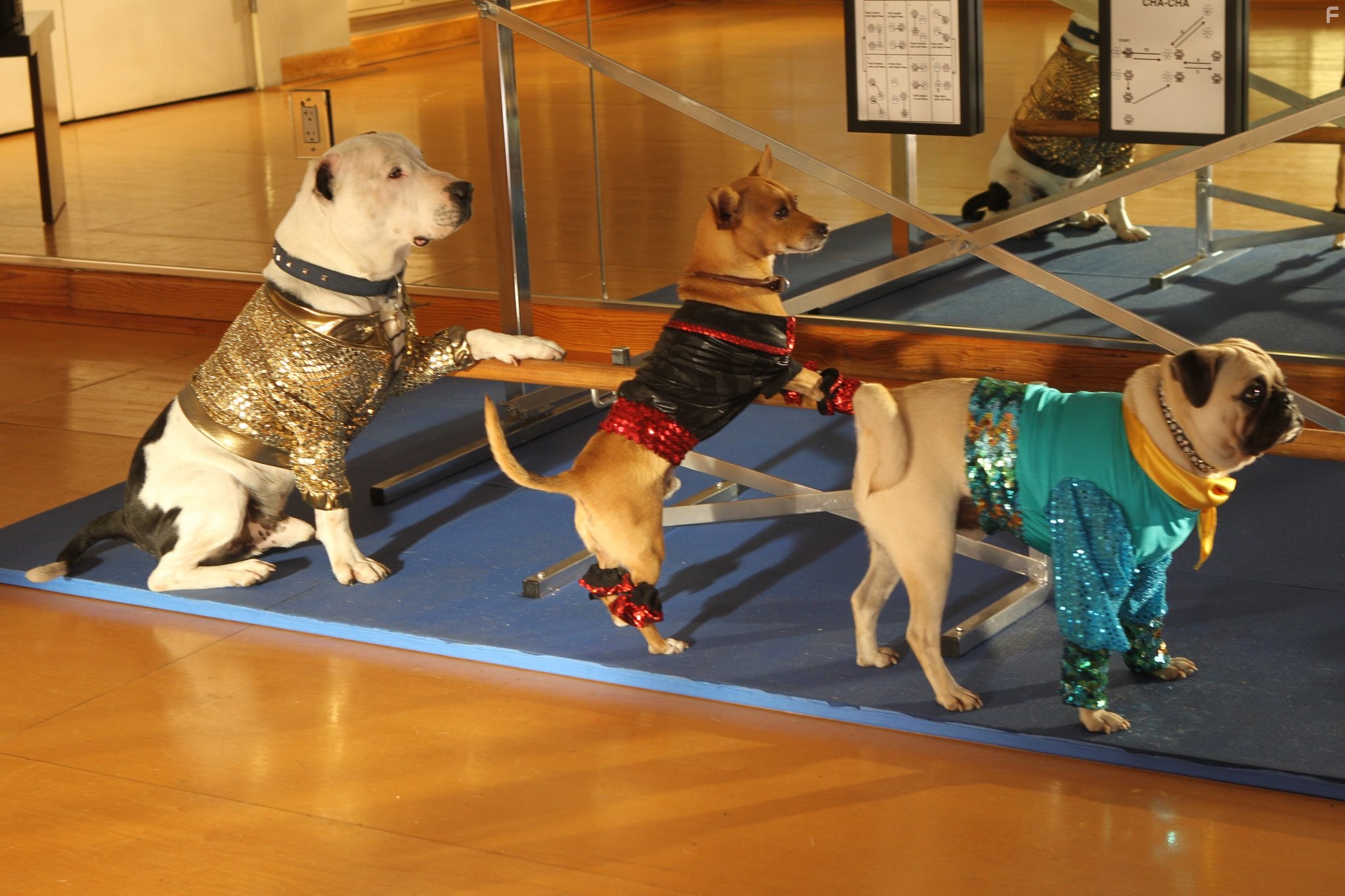 Beverly Hills Chihuahua 3: Viva La Fiesta! (2012)