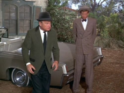 Eddie Albert and Tom Lester in Зеленые просторы (1965)