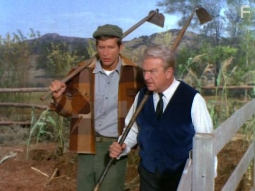 Eddie Albert and Tom Lester in Зеленые просторы (1965)