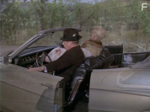 Eddie Albert and Eva Gabor in Зеленые просторы (1965)