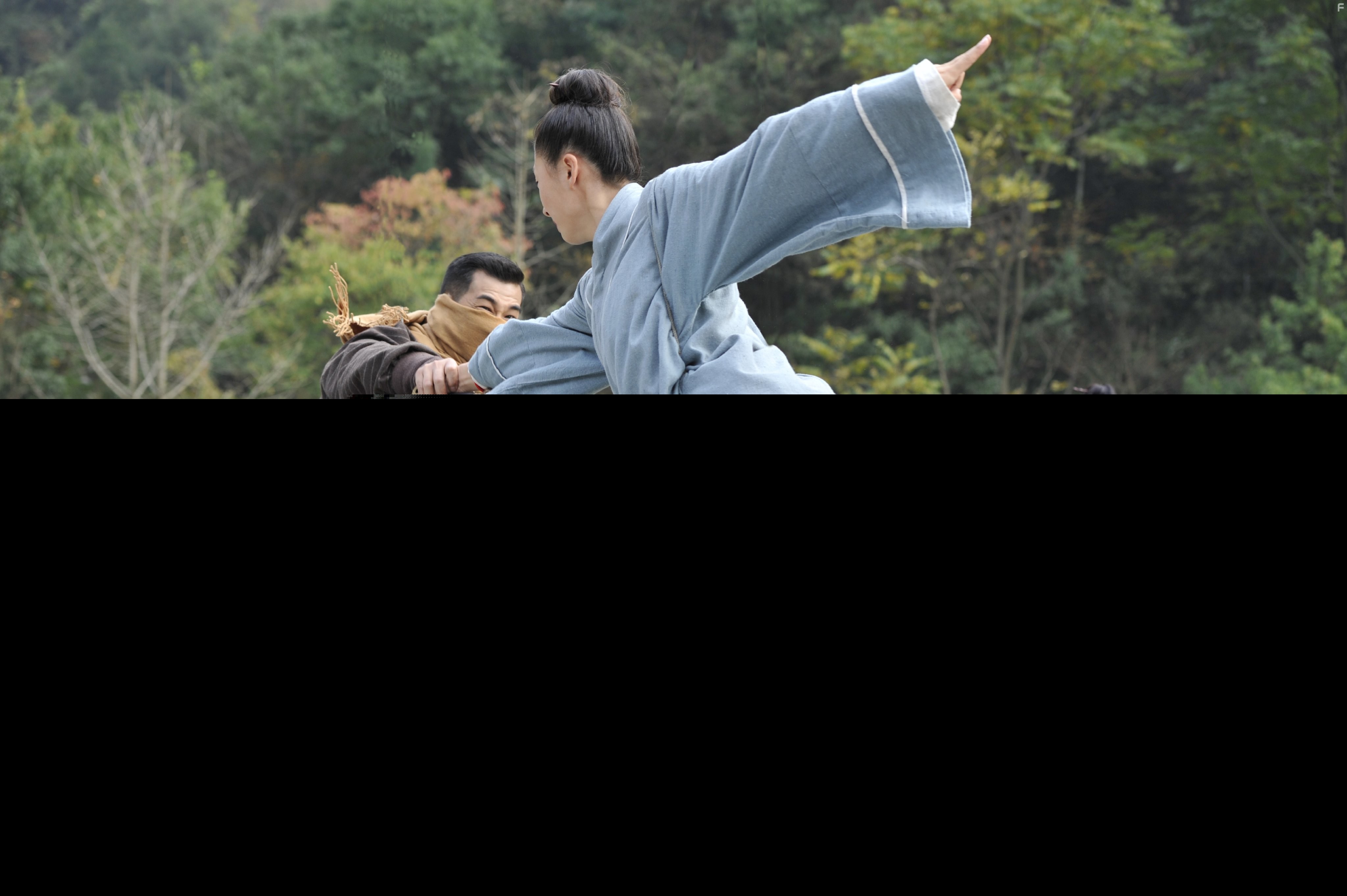 Da Wu Dang zhi tian di mi ma (2012)