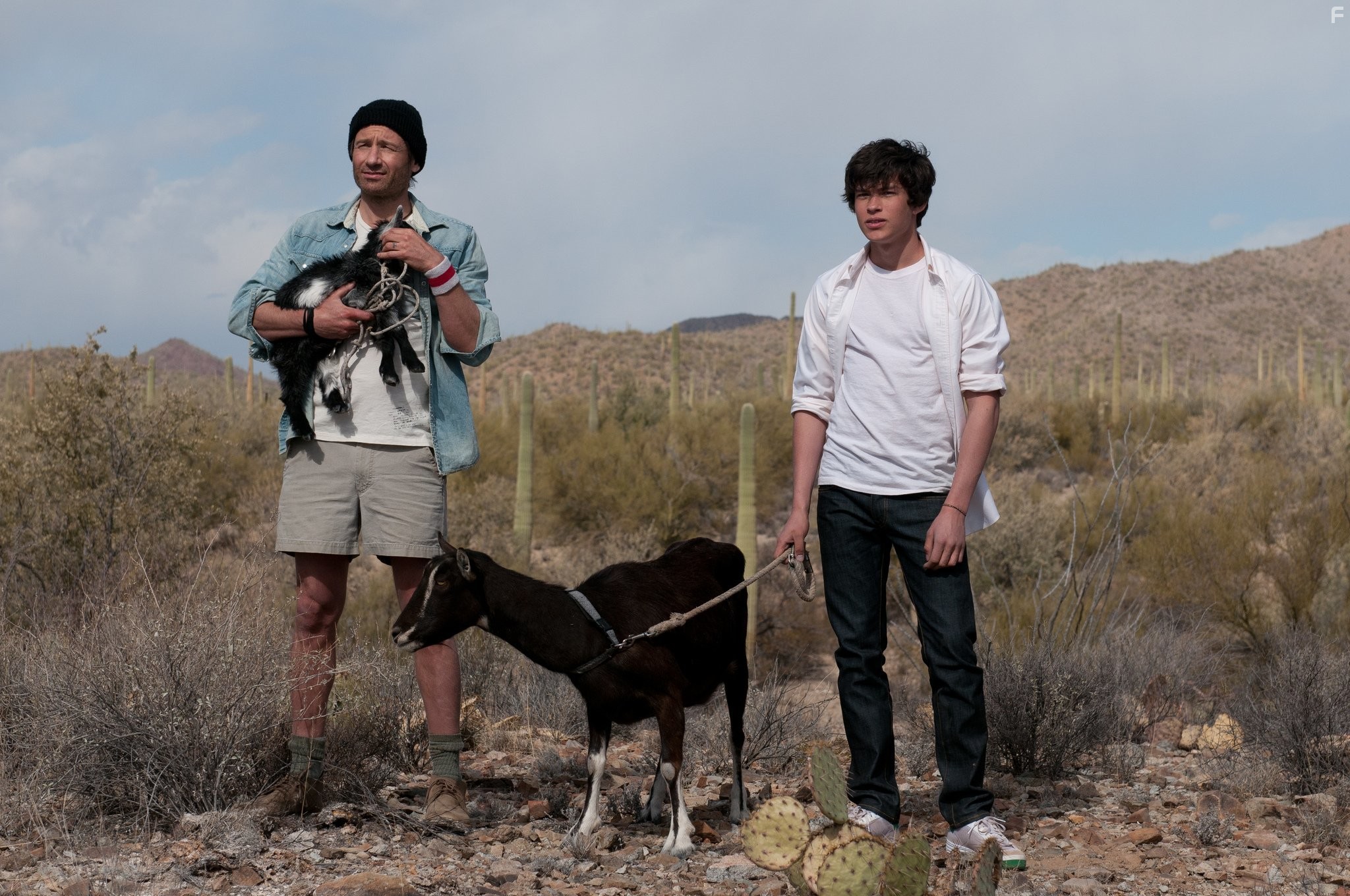 David Duchovny and Graham Phillips in Козы (2012)