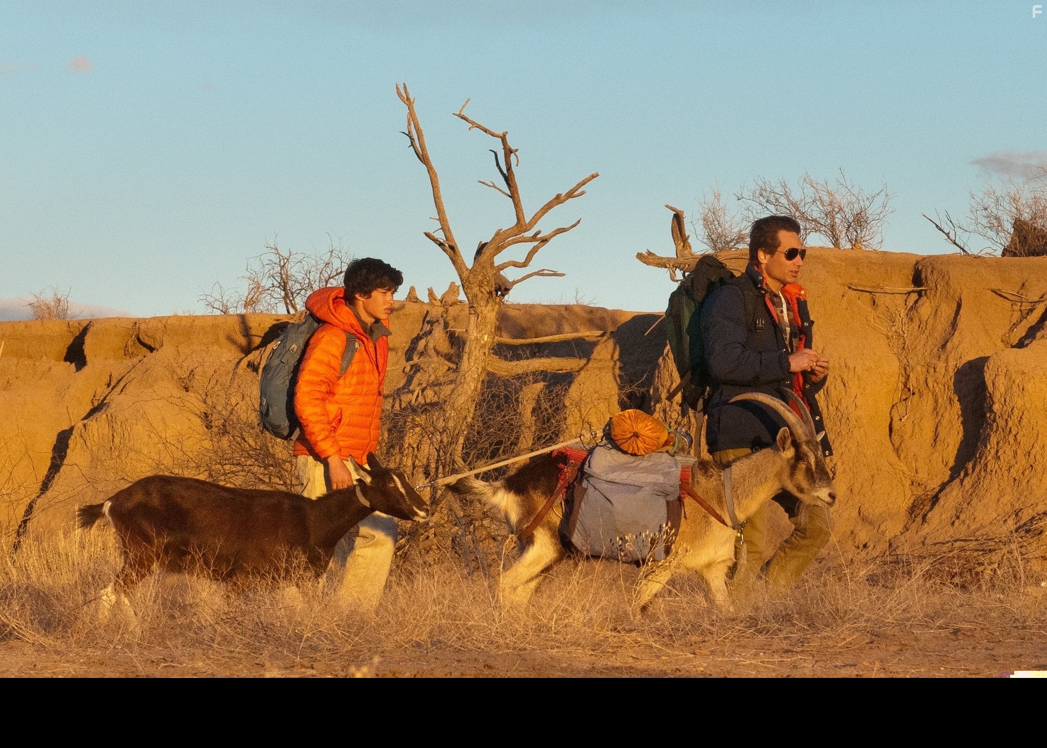 David Duchovny and Graham Phillips in Козы (2012)