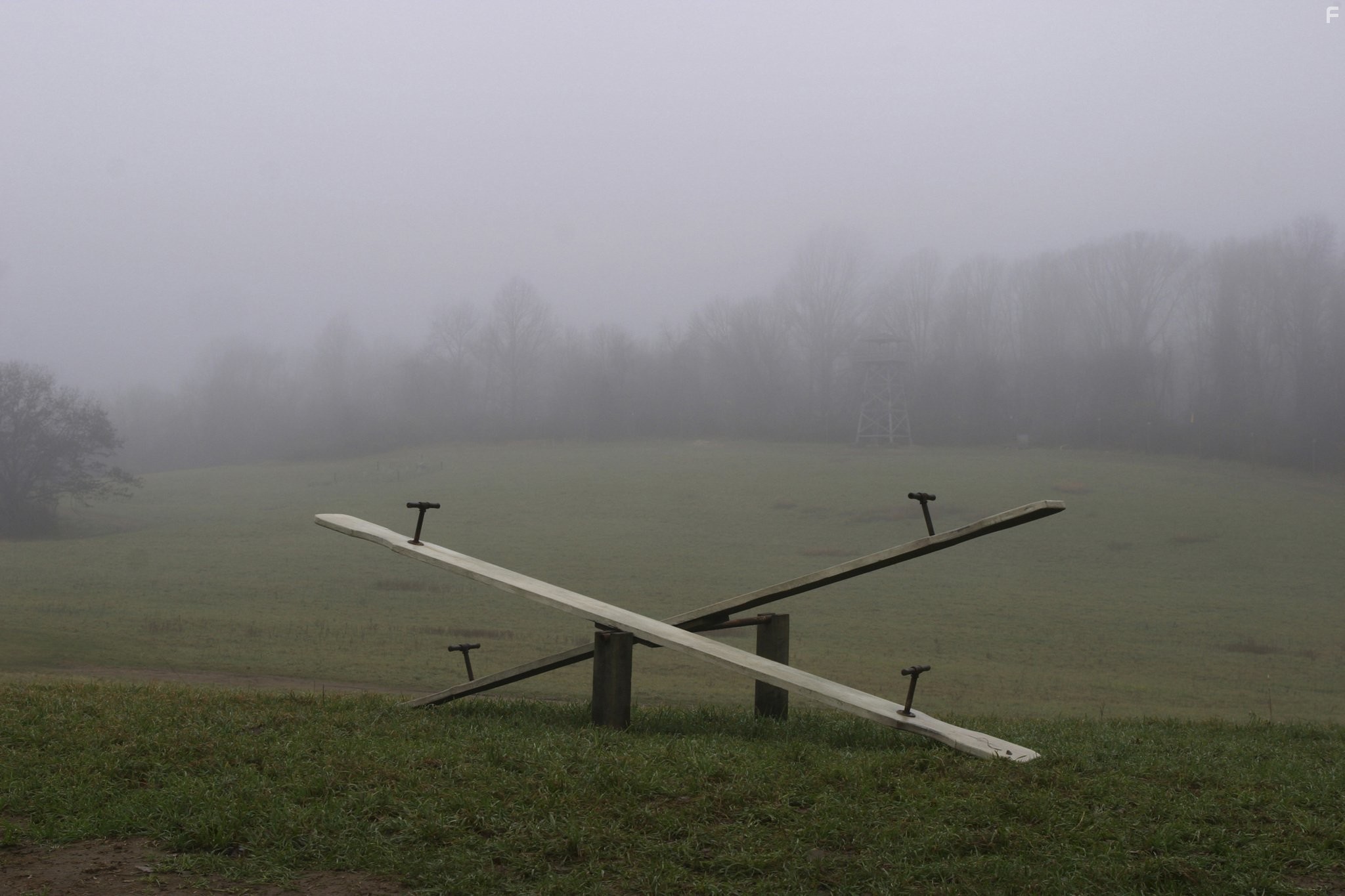 Таинственный лес (2004)