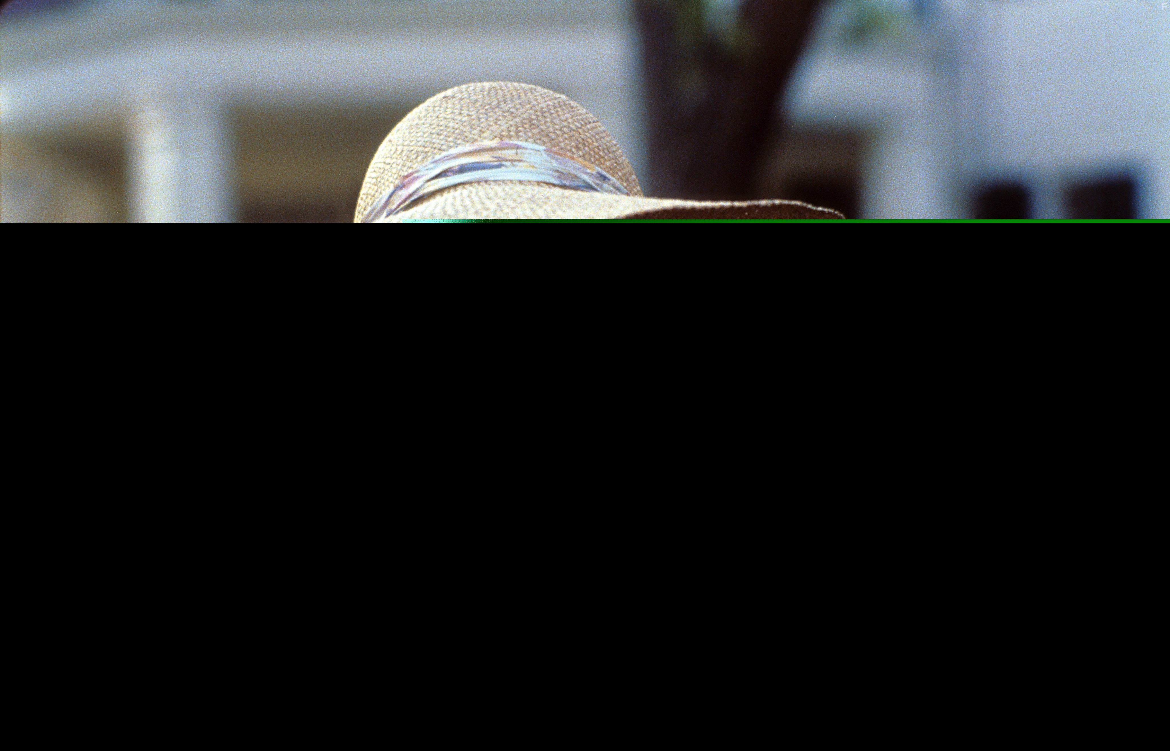 Faye Dunaway in Рассказ служанки (1990)