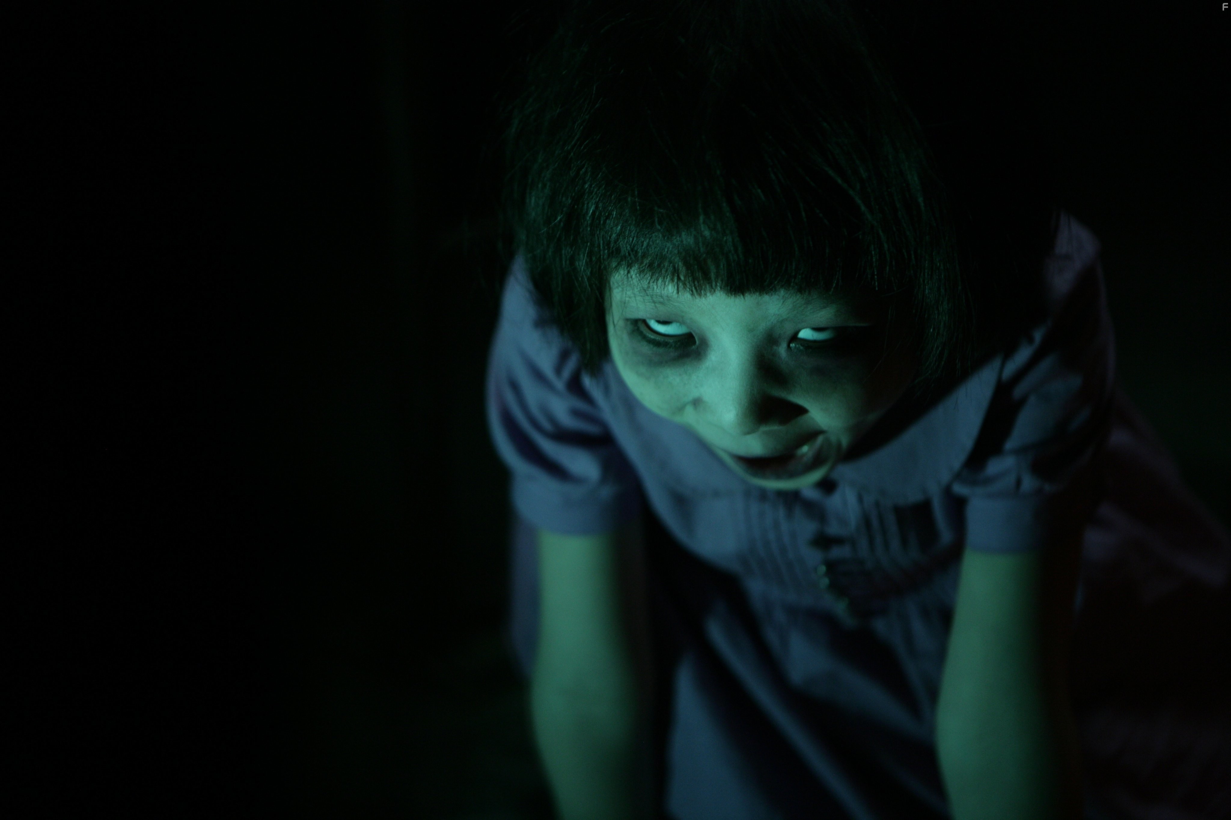 Go-hyang-i: Jook-eum-eul bo-neun doo gae-eui noon (2011)