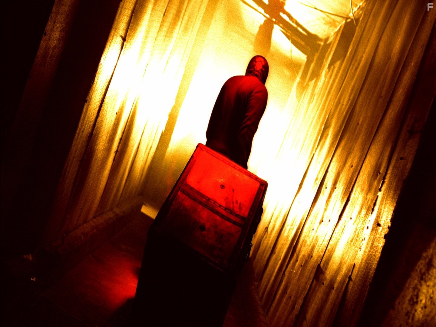 Коллекционер (2009)