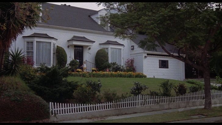 Когда звонит незнакомец (1979)