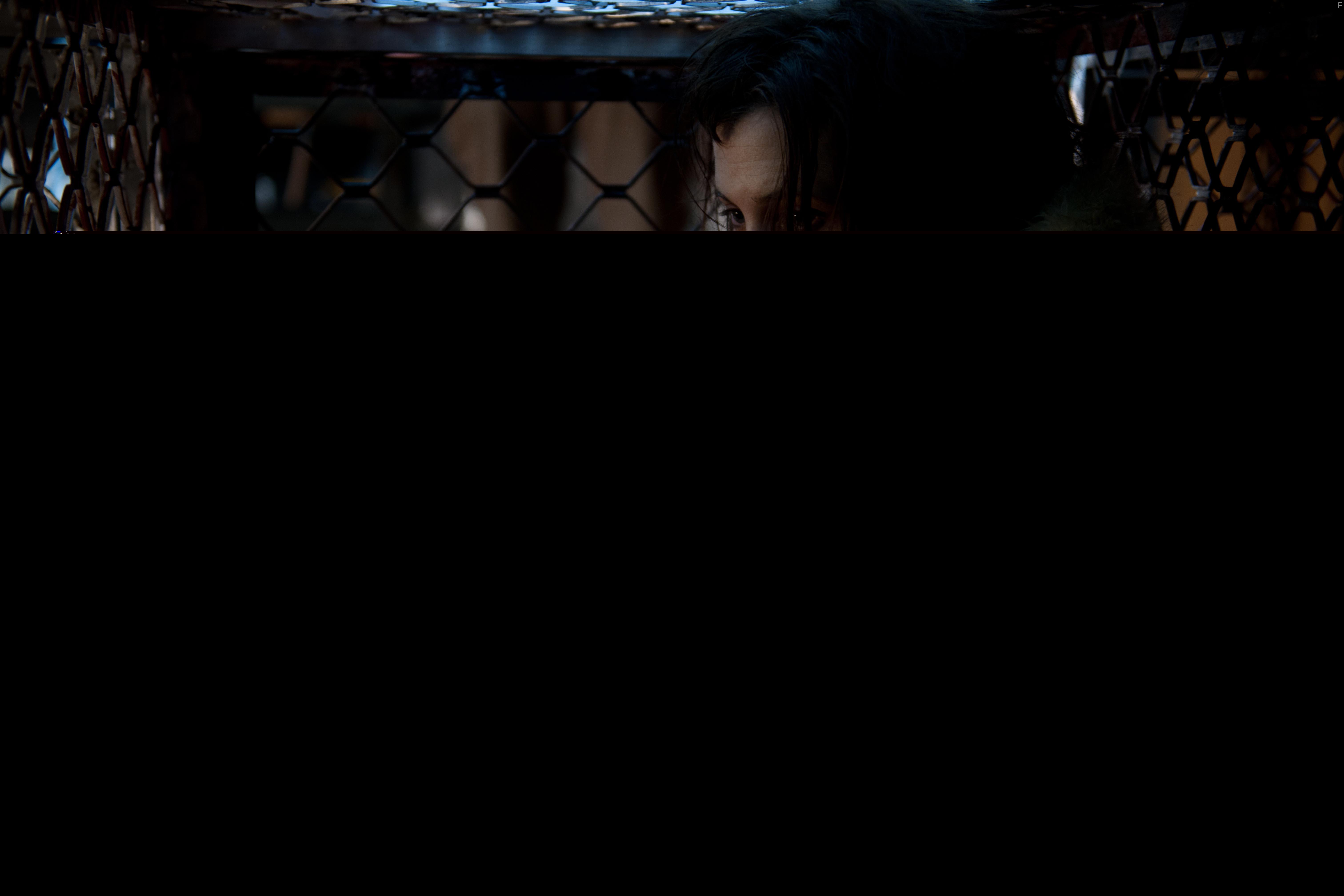 Varg Veum - Kalde hjerter (2012)