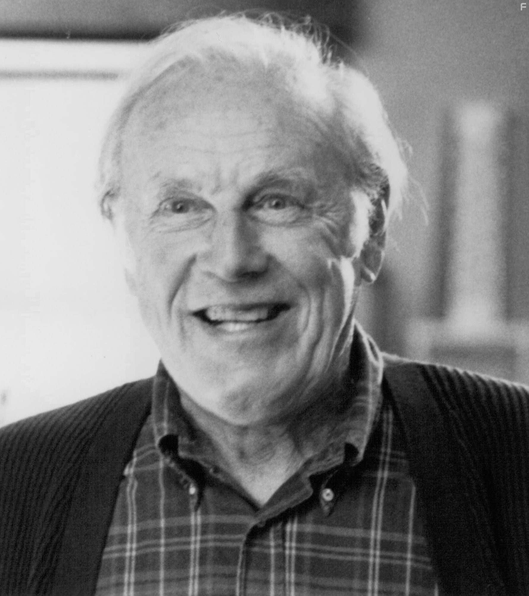 Могучие утята 2 (1994)