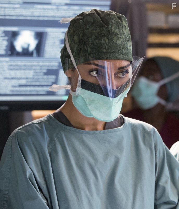 Necar Zadegan in Доктор Эмили Оуэнс (2012)