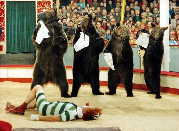 Шесть медведей и клоун Цибулка