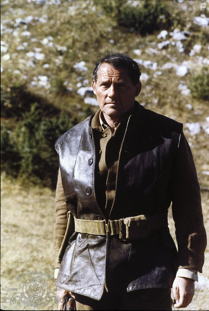 Robert Shaw in Отряд 10 из Навароне (1978)