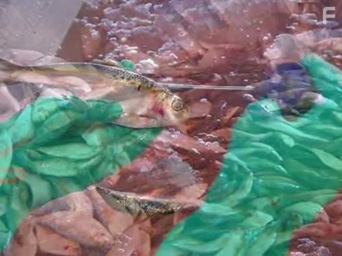 Как это работает? (2001)