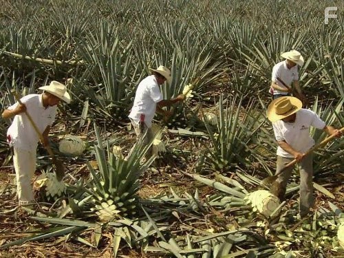 Как это работает? (2001)