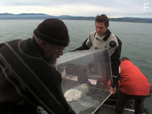 Легенды о чудовищах #4