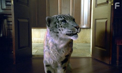 Золотой компас (2007)