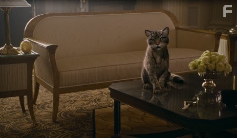 Золотой компас (2007)