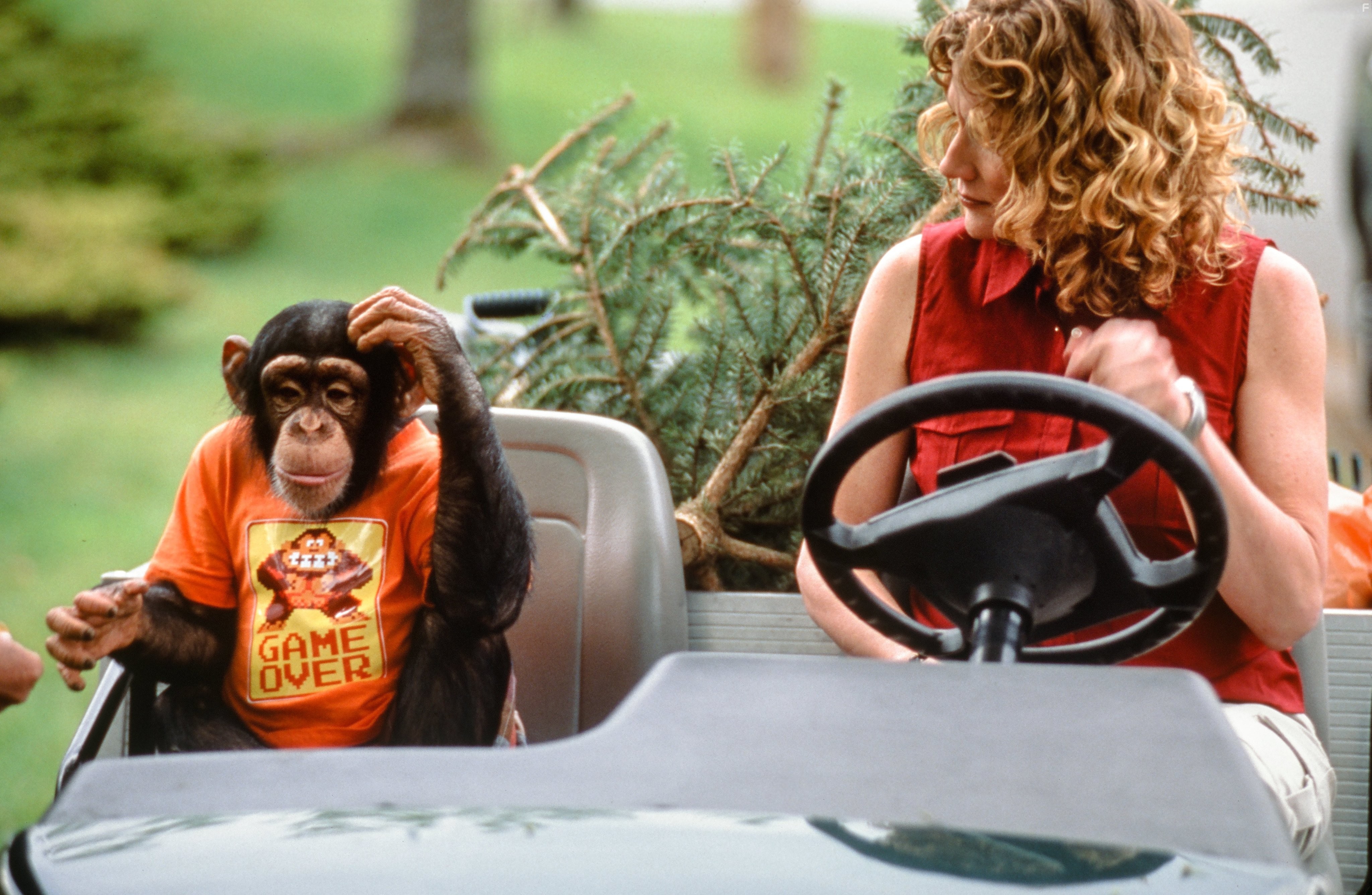 Gwynyth Walsh in MXP: Most Xtreme Primate (2004)