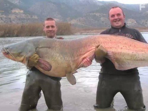 River Monsters (2009)