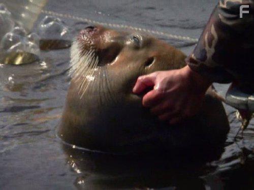 River Monsters (2009)