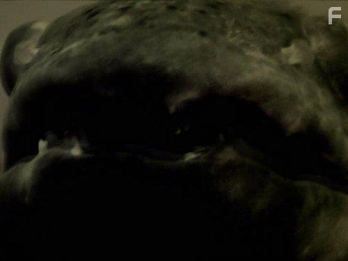 River Monsters (2009)