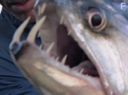 River Monsters (2009)