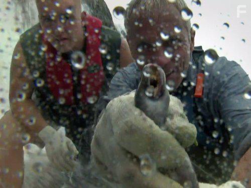 Jeremy Wade in River Monsters (2009)