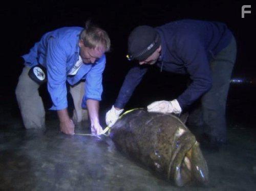 River Monsters (2009)