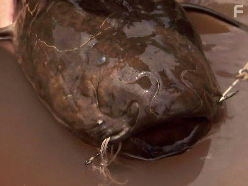 River Monsters (2009)