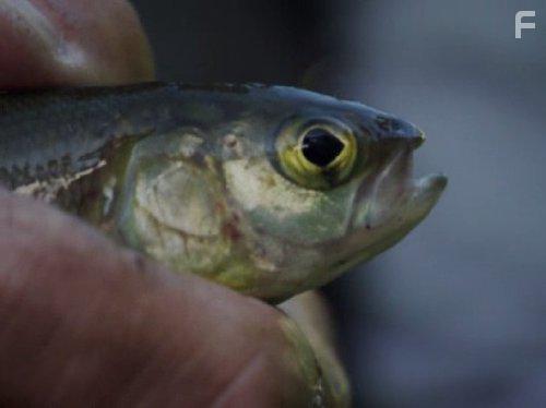 River Monsters (2009)