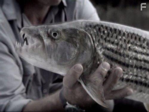 River Monsters (2009)