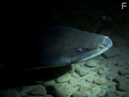 River Monsters (2009)