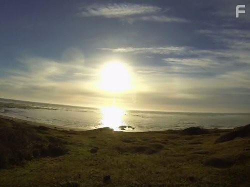 Наука выживать (2004)