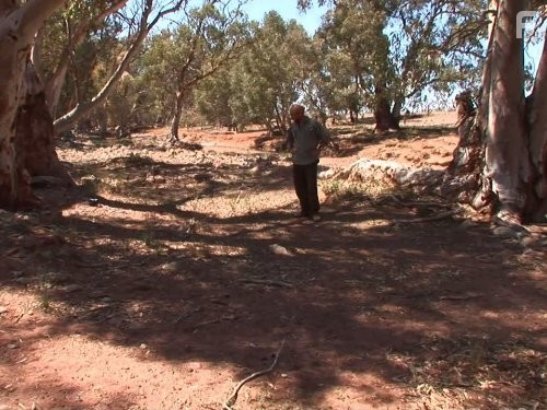 Les Stroud in Наука выживать (2004)
