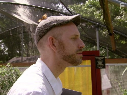 Проект Подиум (2004)