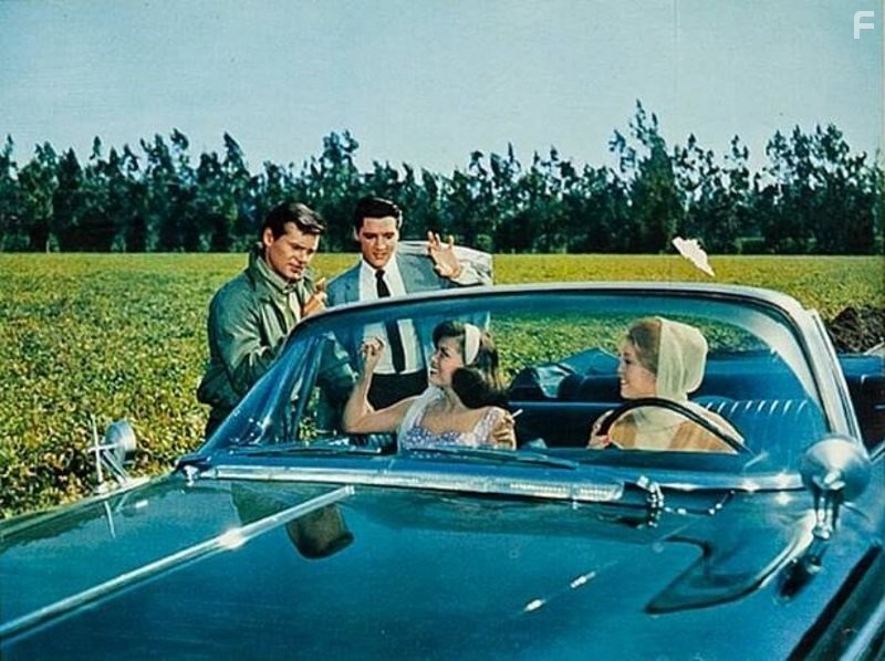 Это случилось на Всемирной ярмарке (1963)