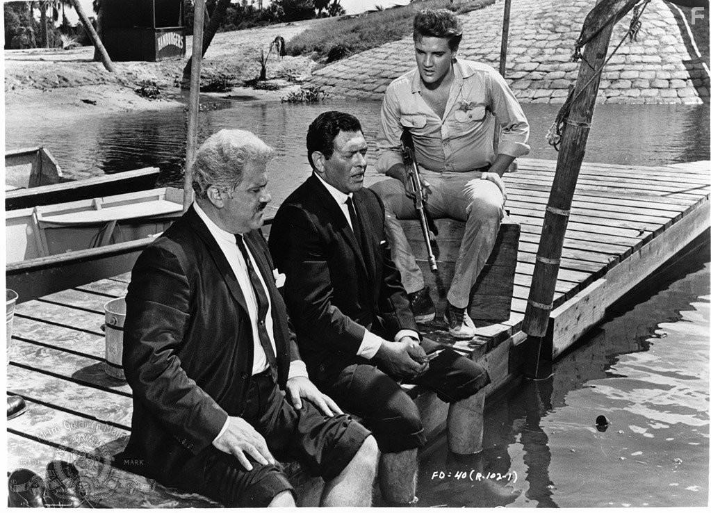 Elvis Presley in Следуй за мечтой (1962)