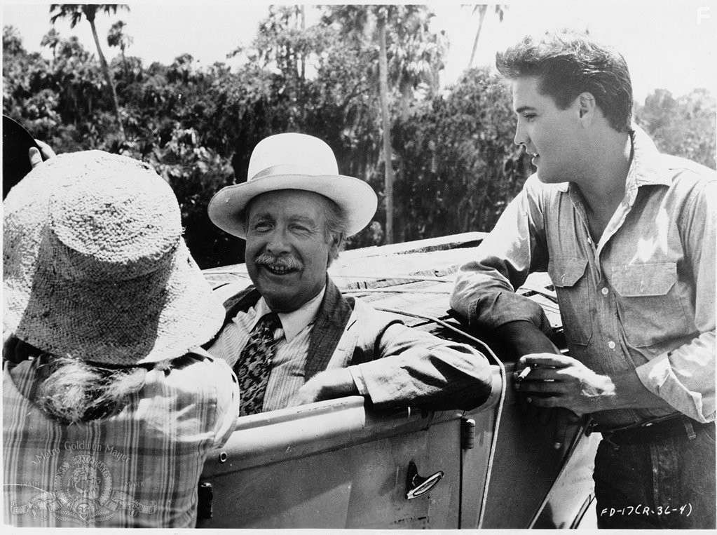 Elvis Presley in Следуй за мечтой (1962)