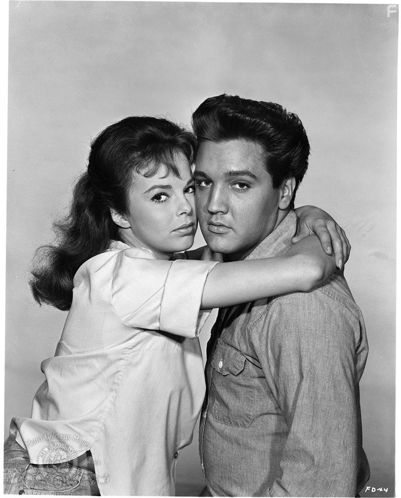 Elvis Presley and Anne Helm in Следуй за мечтой (1962)