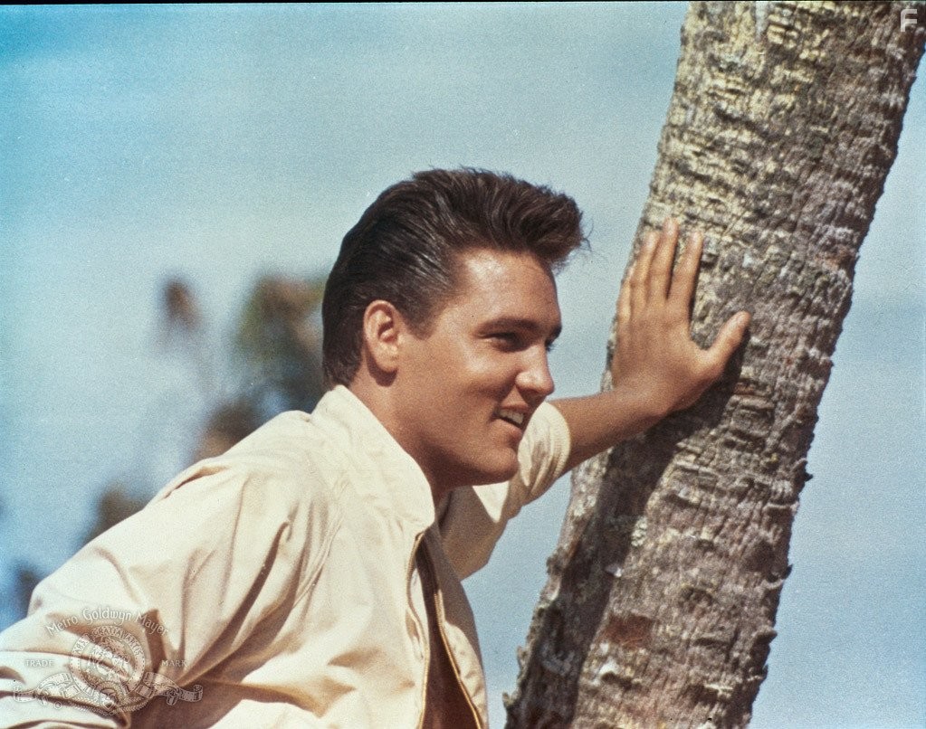 Elvis Presley in Следуй за мечтой (1962)