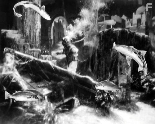 Месть твари (1955)