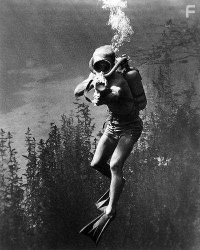 Месть твари (1955)