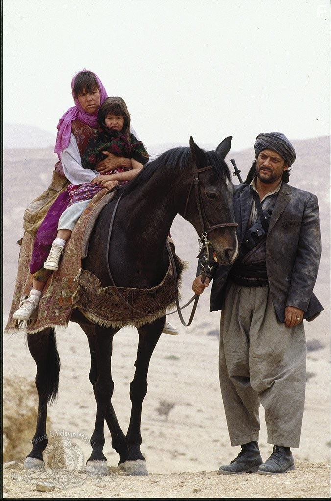 Sally Field in Только не без моей дочери (1991)