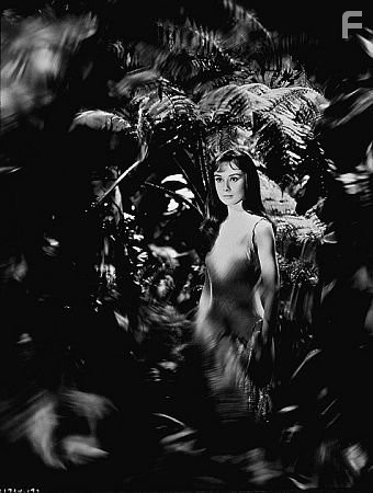 9687-2 "Green Mansions" Audrey Hepburn