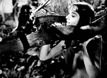 9687-1 "Green Mansions" Audrey Hepburn