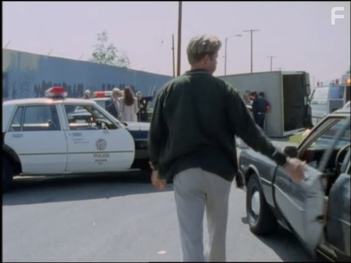 Жара в Лос Анджелесе (1996)