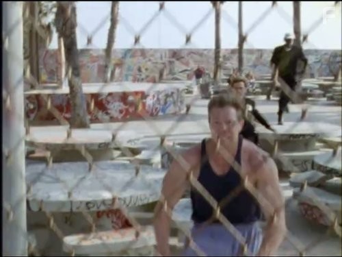 Жара в Лос Анджелесе (1996)